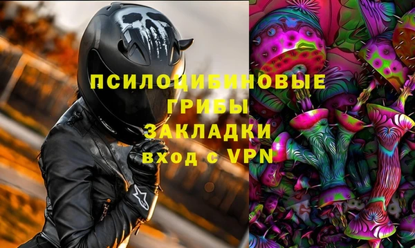 мдпв Алзамай
