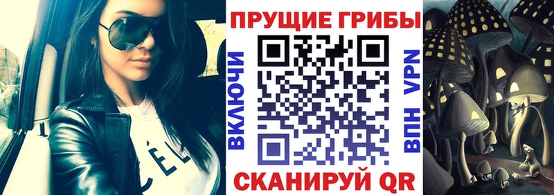 дарнет шоп  omg ССЫЛКА  Галлюциногенные грибы Magic Shrooms  Стерлитамак 